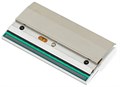 Печатающая головка  TSC PH-MB240-0002 146049