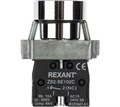 Кнопка  Rexant 36-5520 151861