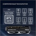 Видеокарта;ASUS;GeForce;RTX;5070;DUAL;OC;(DUAL-RTX5070-O12G) 104542