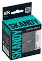 Розетка USB  IEK SK-U21-D31-K02 157024