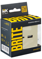 Розетка USB  IEK BR-U22-018-K10 157054