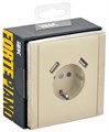 Розетка с заземлением с 2 USB  IEK FP-R14-16-U21-D31-K10 157177