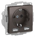 Розетка с заземлением с 2 USB  Systeme Electric ATN000630 157222