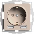 Розетка с заземлением с 2 USB  Systeme Electric ATN001230 157233