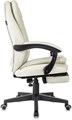 Кресло;;Бюрократ;T-9950MSG-F 120056