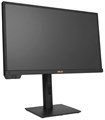 Монитор;23,6";ASUS;ProArt PA24US 123932