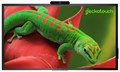 Интерактивный;комплекс;;Geckotouch;86R 125760