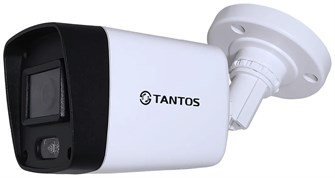 Видеокамера IP Tantos TSi-P2FP 134296