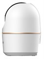 Видеокамера IP Dahua DH-IPC-H2AP-0360B 134354