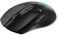 Мышь wireless Rapoo V300L 123031
