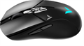 Мышь wireless Rapoo V300L 123031