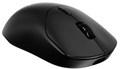 Мышь  Rapoo VT2DM-BL 123104